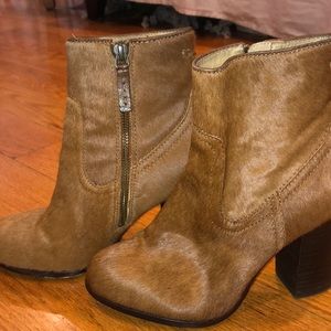 Frye Calf Hair Booties